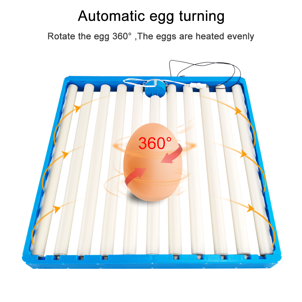 70 Eggs Incubator Automatic 36 - Hunting Quail 评论和价格